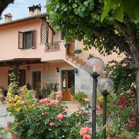 Agriturismo L'Ulivo In Fiore Spolète Extérieur photo