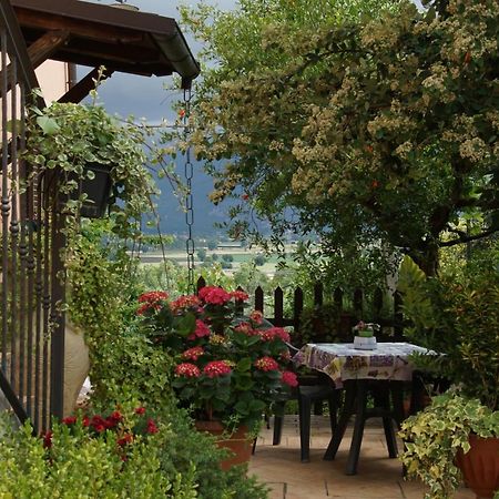 Agriturismo L'Ulivo In Fiore Spolète Extérieur photo